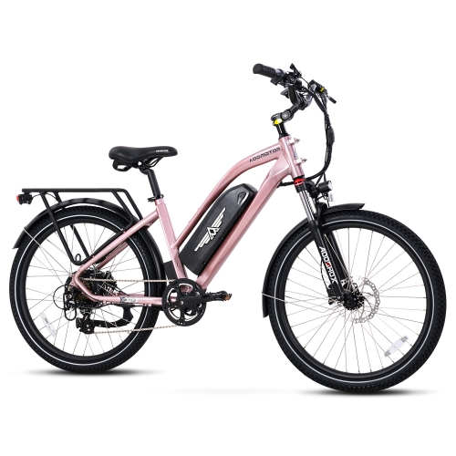 Citypro E-43 eBike